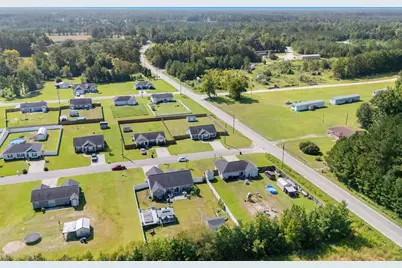 100 Pumpkin Ash Loop, Conway, SC 29527 - Photo 3