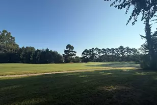 359 Cedar Grove Church Rd, Johnsonville, SC 29555 - Photo 1