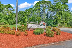104 Moss Cir, Conway, SC 29526 - Photo 33