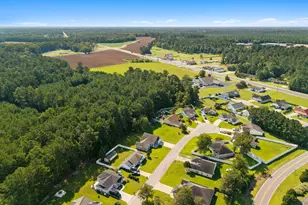 141 Lions Paw Ct, Loris, SC 29569 - Photo 35