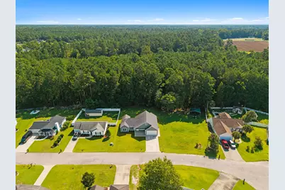 141 Lions Paw Ct., Loris, SC 29569 - Photo 37