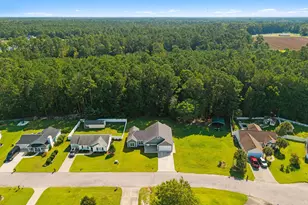 141 Lions Paw Ct, Loris, SC 29569 - Photo 37