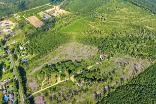 2106 Mineral Springs Rd, Conway, SC 29527 - Photo 27
