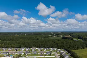 276 Beulah Cir, Conway, SC 29527 - Photo 43