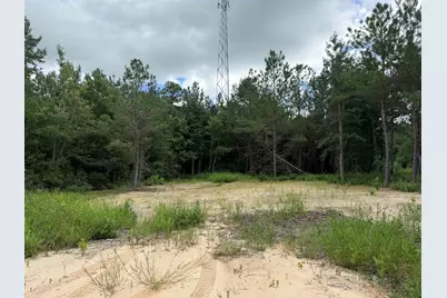 1.25 Acres - N Fraser St., Georgetown, SC 29440 - Photo 3