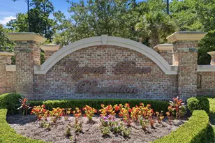 460 Chamberlin Dr, Myrtle Beach, SC 29588 - Photo 59