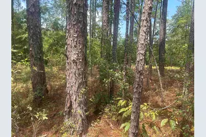 185 Legion St., Dillon, SC 29536 - Photo 27