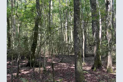 185 Legion St., Dillon, SC 29536 - Photo 21