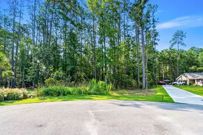 200 Joanna Gillard Ln., Georgetown, SC 29440 - Photo 7
