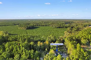 160 Comanche Dr, Georgetown, SC 29440 - Photo 55