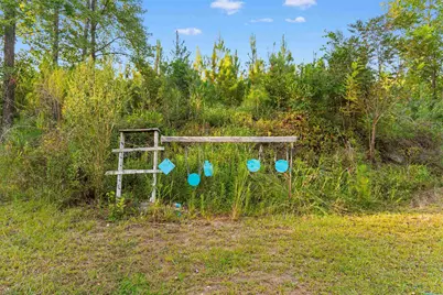160 Comanche Dr., Georgetown, SC 29440 - Photo 49