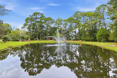29 Shadow Moss Pl. #29, North Myrtle Beach, SC 29582 - Photo 33