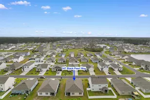 347 Black Pearl Wy, Myrtle Beach, SC 29588 - Photo 33