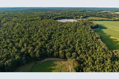 Tbd Peach Orchard Rd., Rembert, SC 29128 - Photo 7