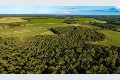 Tbd Peach Orchard Rd., Rembert, SC 29128 - Photo 3