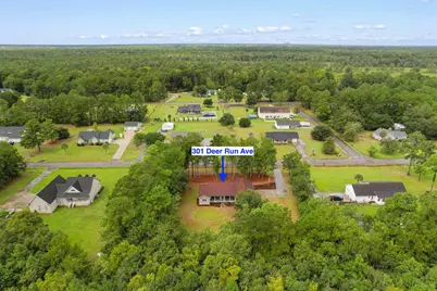301 Deer Run Ave., Georgetown, SC 29440 - Photo 47