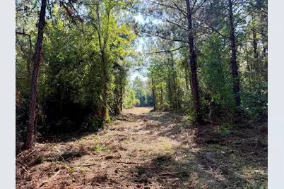 54.5 Acres Epps Rd., New Zion, SC 29111 - Photo 3
