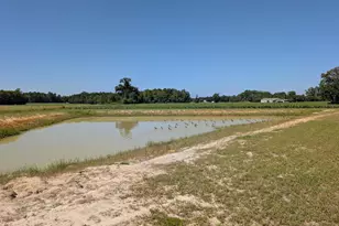 1174 Justice Loop, Loris, SC 29569 - Photo 29