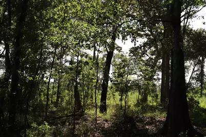 0 Old Forreston Rd., Greeleyville, SC 29056 - Photo 9