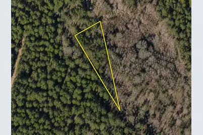 Tbd Gibson Rd., Greeleyville, SC 29056 - Photo 1