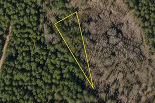 Tbd Gibson Rd, Greeleyville, SC 29056 - Photo 1