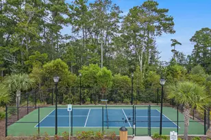 2439 Blue Crane Cir, Myrtle Beach, SC 29577 - Photo 45