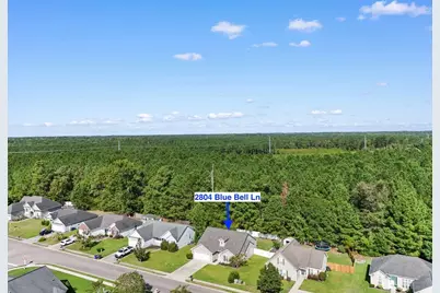 2804 Blue Belle Ln., Conway, SC 29527 - Photo 33