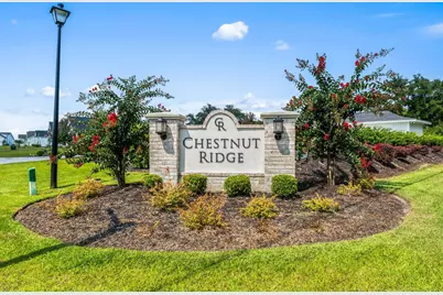 246 Hayloft Circle, Conway, SC 29526 - Photo 41
