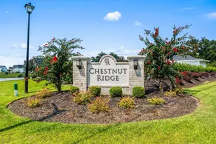 246 Hayloft Cir, Conway, SC 29526 - Photo 41