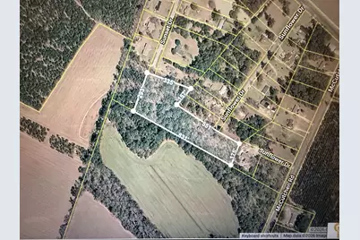 Sunflower Dr., Cades, SC 29518 - Photo 1