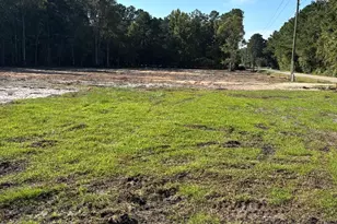 2625 Allen Dew Rd, Conway, SC 29527 - Photo 1
