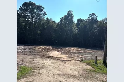 2625 Allen Dew Rd., Conway, SC 29527 - Photo 3
