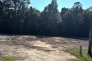 2647 Allen Dew Rd, Conway, SC 29527 - Photo 1