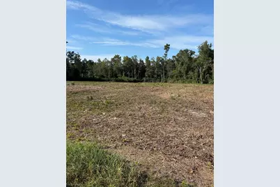 Tbd Cane Branch Church Rd., Conway, SC 29527 - Photo 1
