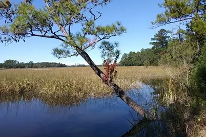Tbd Warham Dr., Georgetown, SC 29440 - Photo 33