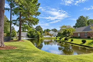 386 Blackberry Ln, Myrtle Beach, SC 29579 - Photo 69