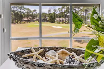 142 Avian Dr. #3914, Sunset Beach, NC 28468 - Photo 23