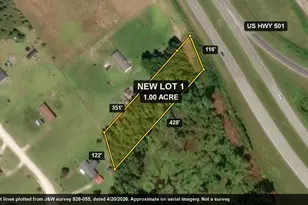 Tbd N Hwy 501, Marion, SC 29571 - Photo 1