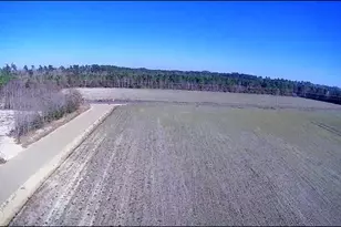 Tbd 1 Millpond Rd, Galivants Ferry, SC 29544 - Photo 19