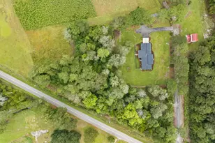 5315 U A Johnson Ln, Galivants Ferry, SC 29544 - Photo 23