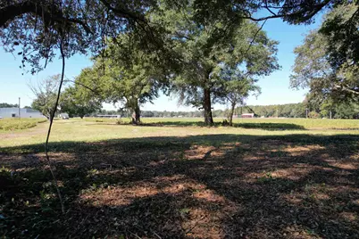 Lot 2 - Sumter Hwy., Kingstree, SC 29556 - Photo 3