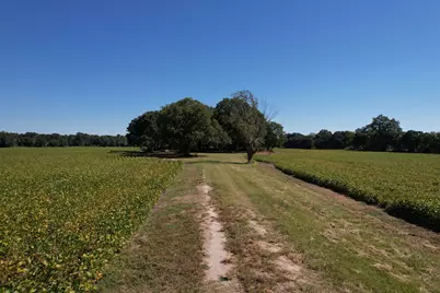 Lot 2 - Sumter Hwy., Kingstree, SC 29556 - Photo 7