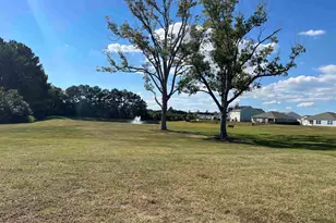 568 Woodland Farms Cir, Aynor, SC 29511 - Photo 57
