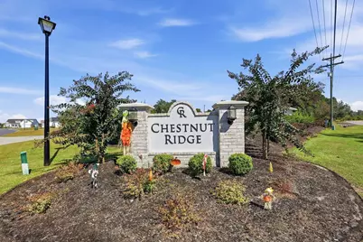 343 Hayloft Circle, Conway, SC 29526 - Photo 63