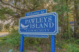 41 Spicebush Ln, Pawleys Island, SC 29585 - Photo 77