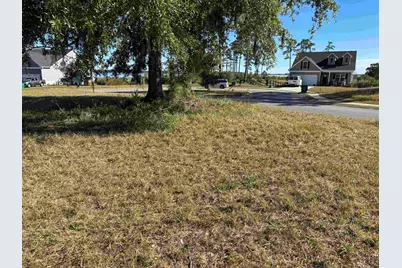 Lot 161 Seaport Circle, Georgetown, SC 29440 - Photo 5