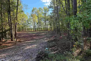 Tract 1 Wise Rd, Conway, SC 29526 - Photo 1