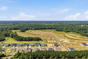 4208 Collins Farm Wy, Conway, SC 29526 - Photo 49