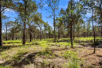 1569 Dave Plowden Pond Rd, Manning, SC 29102 - Photo 45