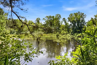 1569 Dave Plowden Pond Rd, Manning, SC 29102 - Photo 13